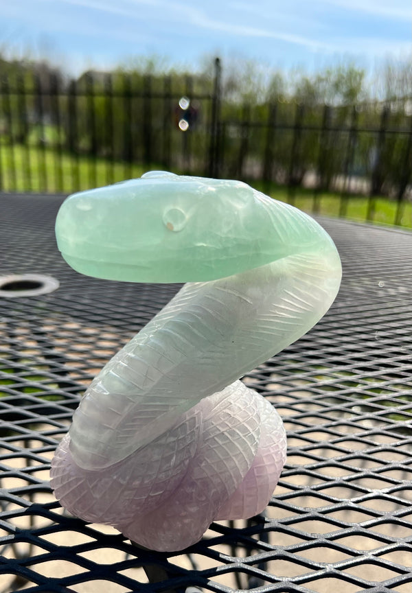 Carved Fluorite Cobra - Stone of Balance an Intuition...just for starters